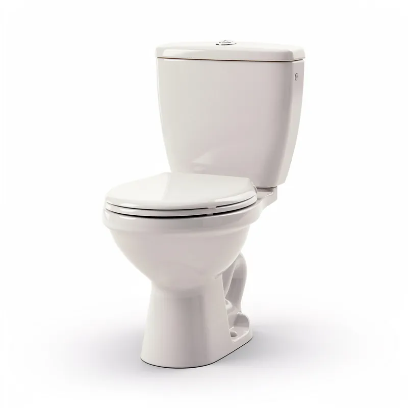 Remplacement de WC Paris9